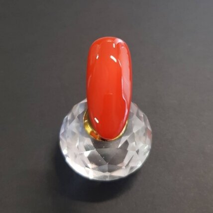 Good Red Bed 6 ml - 303 1